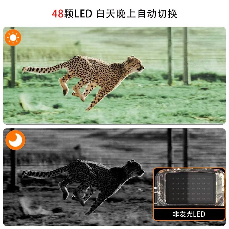 HOT SALE DL001 Hunting Camera  - Outdoor Sport Field review and price