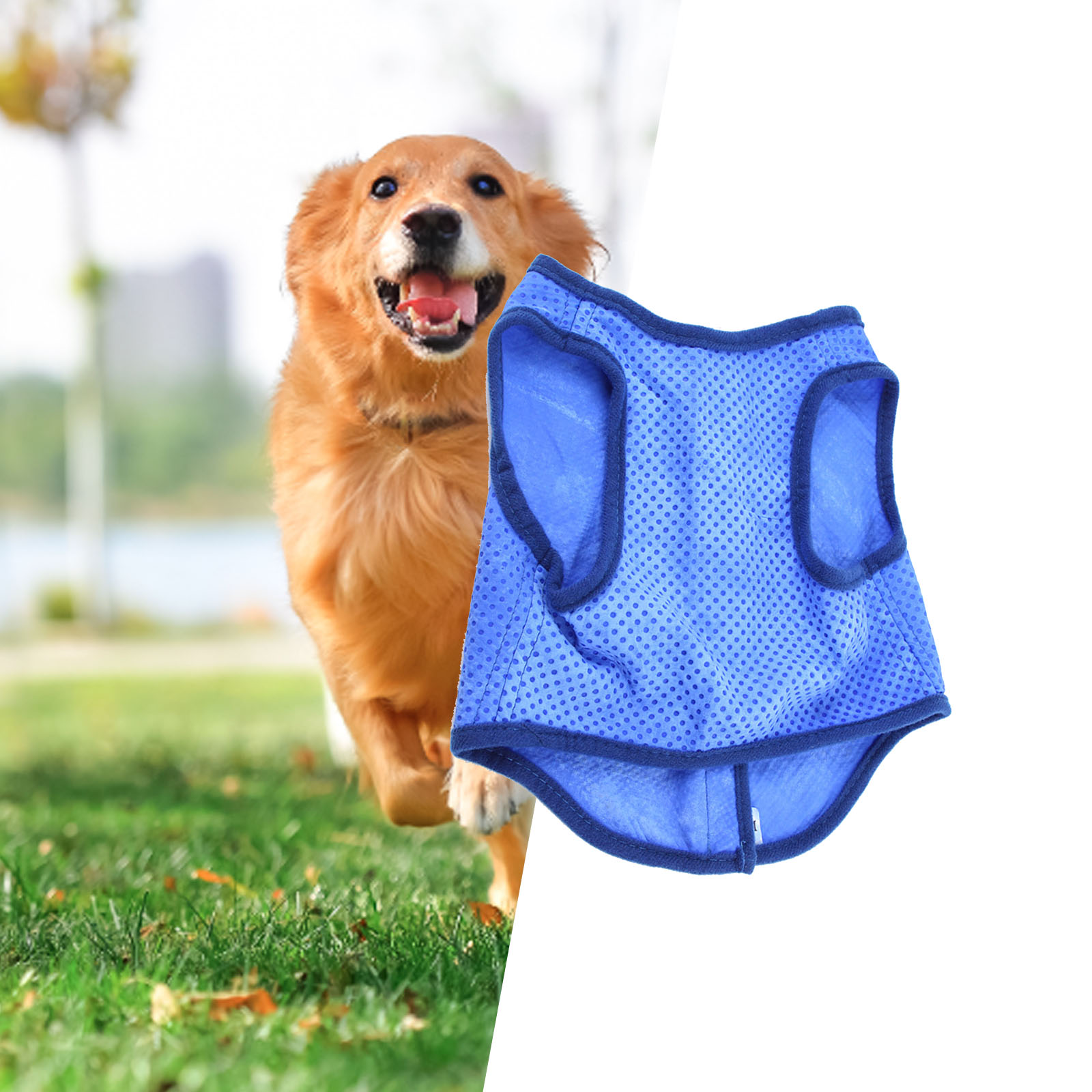 Dog Cooling Vest Breathable Su - Outdoor Sport Coat review and price