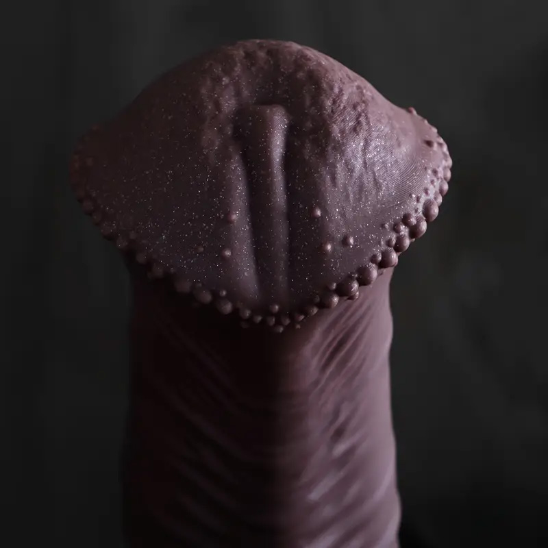 Huge Horse Dildo Anal Plug Sex - Lunge Line Horse review and price