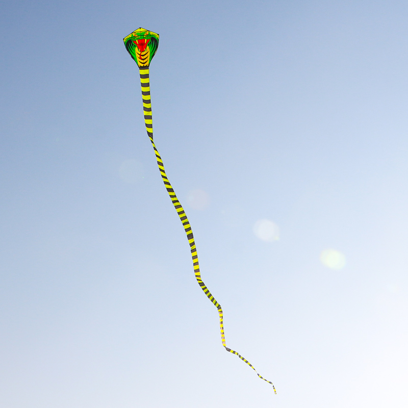 Paradise Bird 8m/15m Snake Kit - Outdoor Sport Outlet review and price