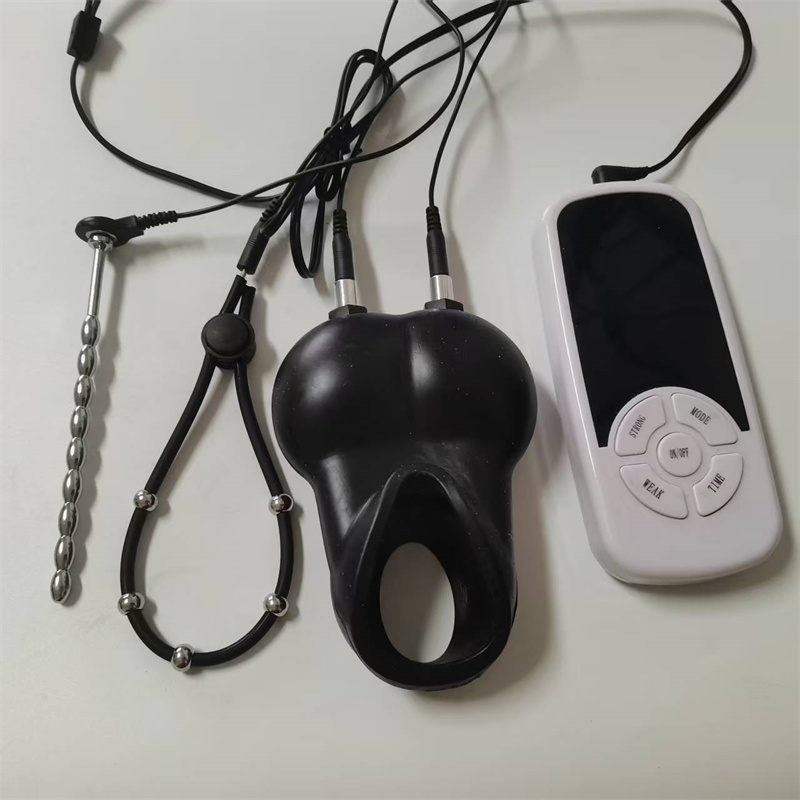 Horse Eye Stick Urethral Sound - Lunge Line Horse review and price