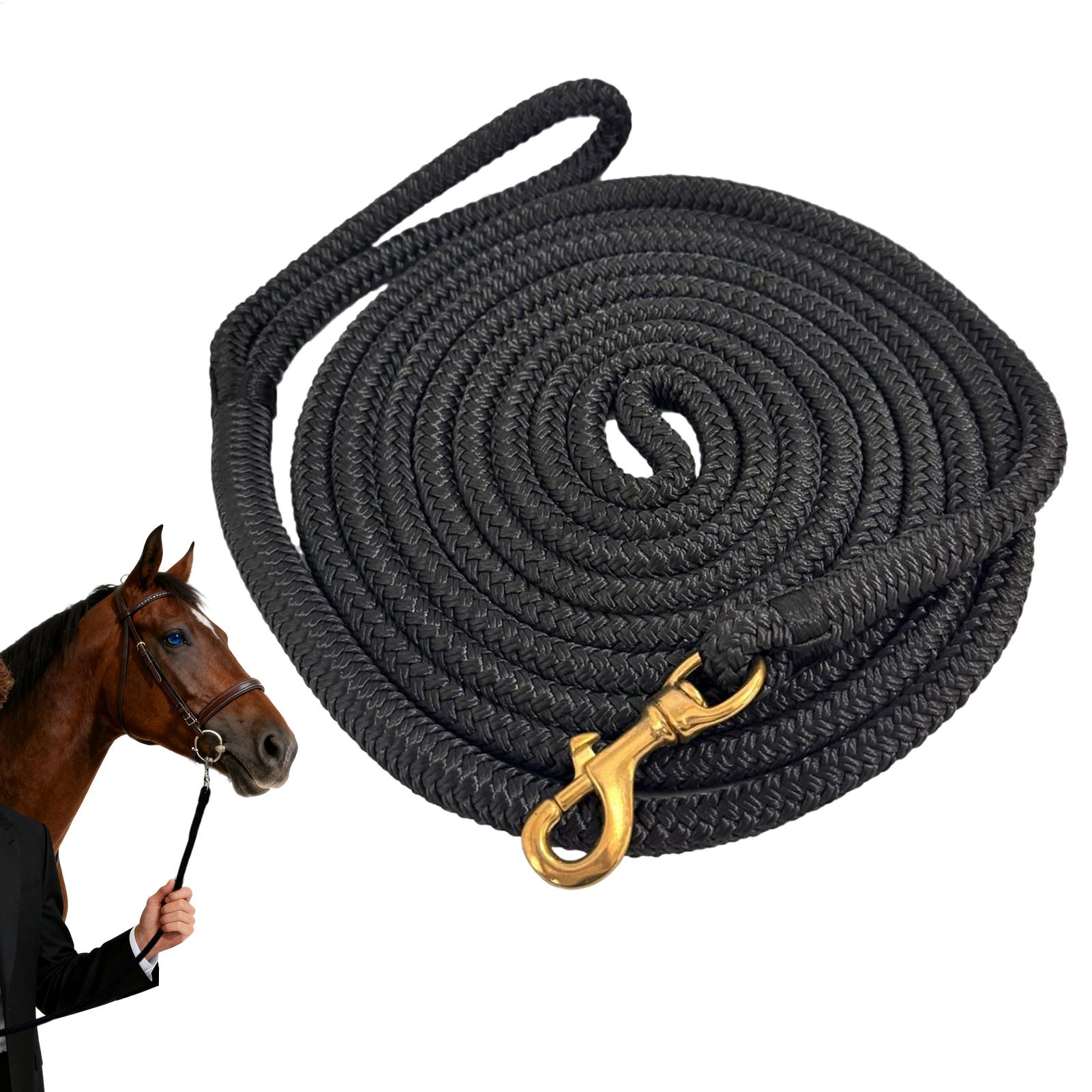 Horse Lunge Line Performance H - Lunge Line Horse review and price