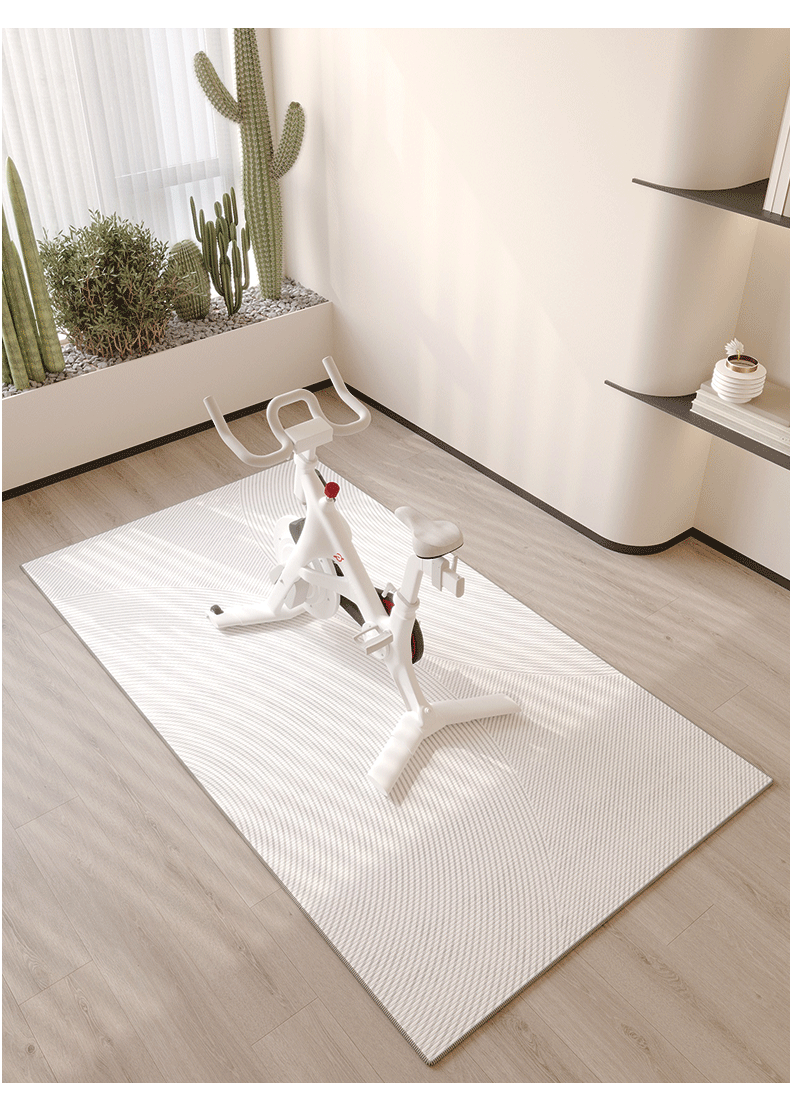 VIKAMA Spinning Bike Floor MAT - Outdoor Sport Jas review and price